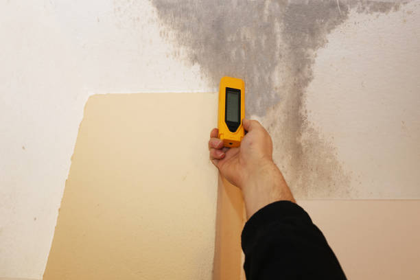 Best HVAC Mold Inspection and Cleaning  in Pelican Marsh, FL