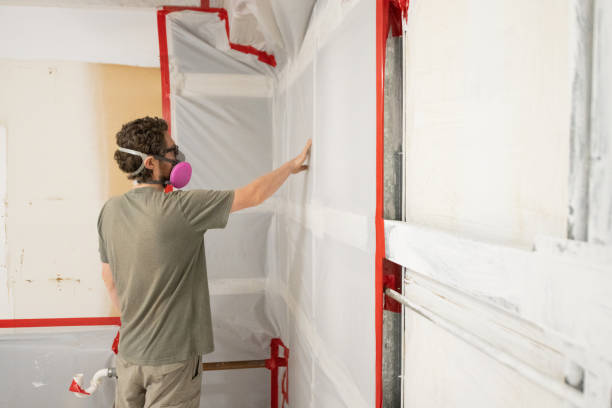 Best Mold Documentation for Insurance Claims  in Pelican Marsh, FL