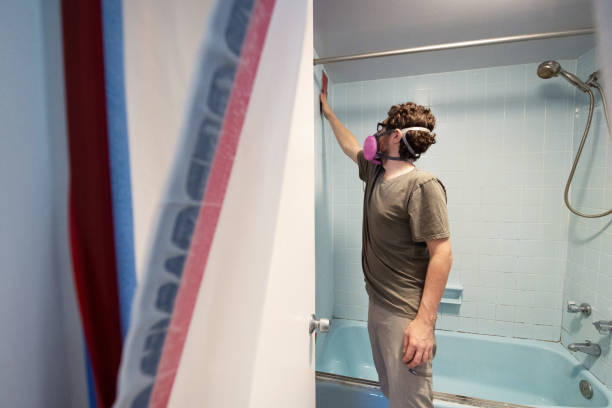 Best Mold Damage Restoration  in Pelican Marsh, FL