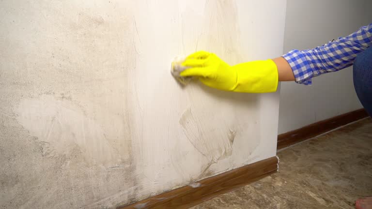Best Air Quality Testing for Mold Spores  in Pelican Marsh, FL
