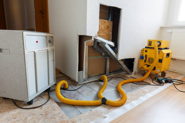  Pelican Marsh, FL Mold Removal Pros