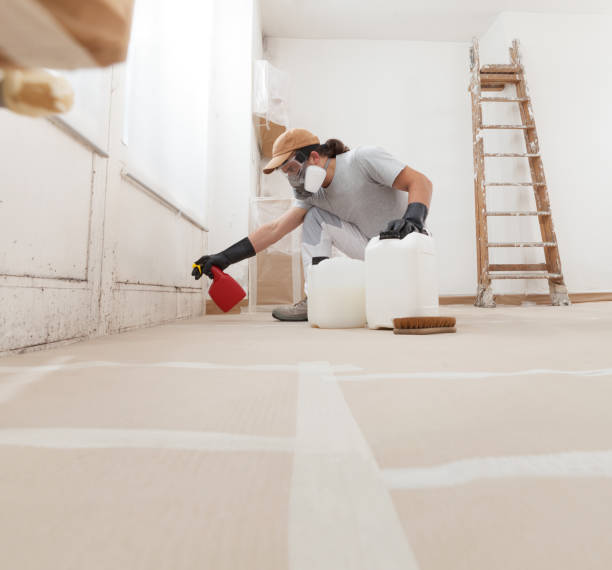 Professional Mold Removal in Pelican Marsh, FL