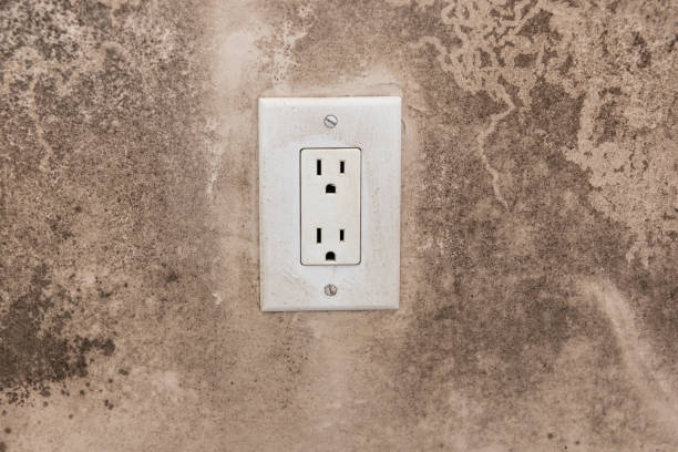 Best Commercial Mold Inspection  in Pelican Marsh, FL