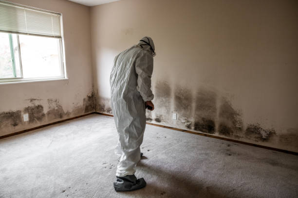 Best Mold Removal for HVAC Installations  in Pelican Marsh, FL